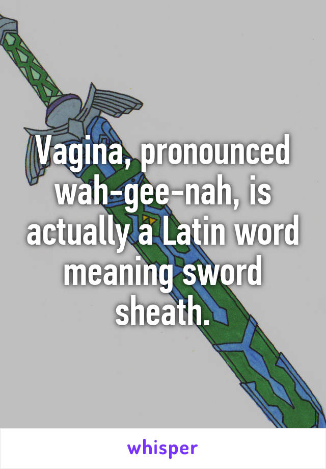 vagina for latin word